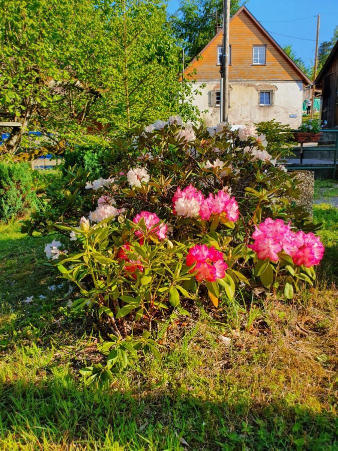 Locations Dupertuis Alsace Apartment Le Hohwald Exterior photo
