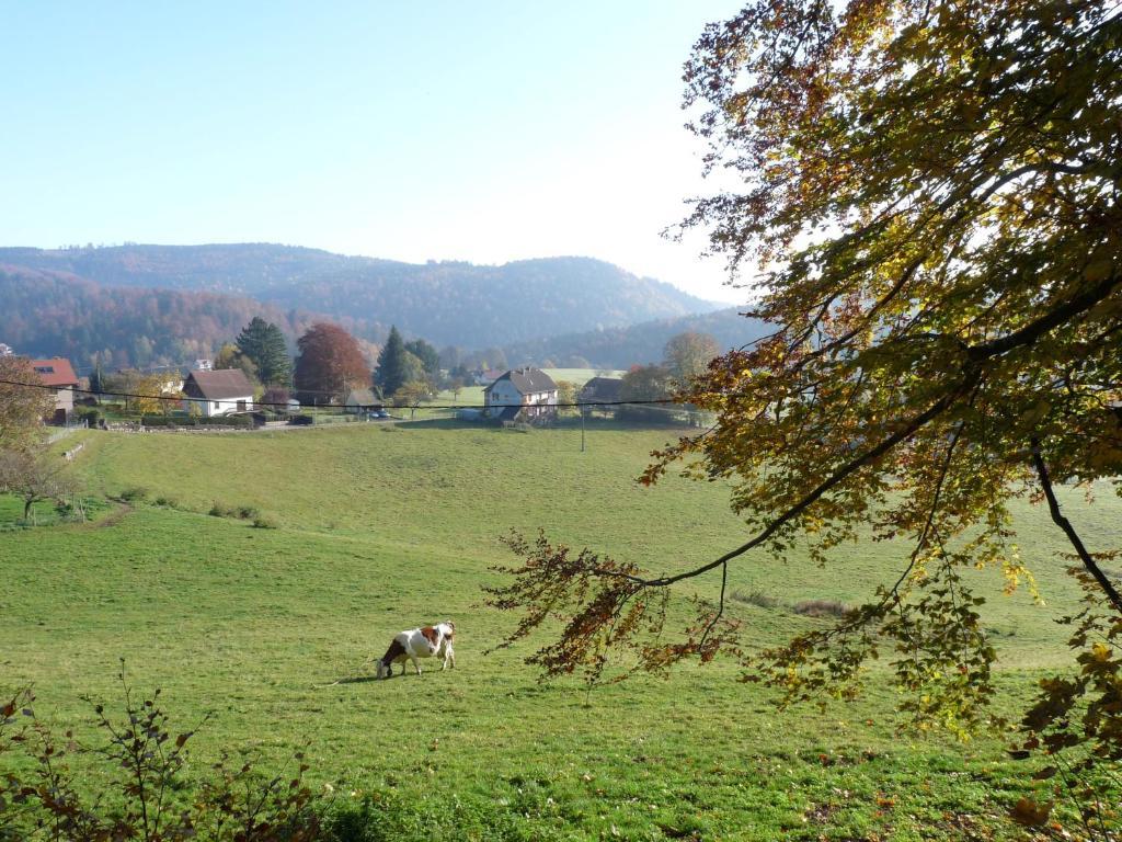 Locations Dupertuis Alsace Apartment Le Hohwald Room photo