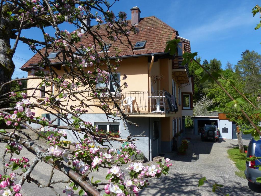 Locations Dupertuis Alsace Apartment Le Hohwald Exterior photo
