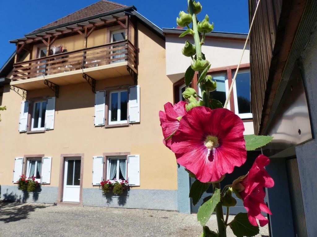 Locations Dupertuis Alsace Apartment Le Hohwald Exterior photo